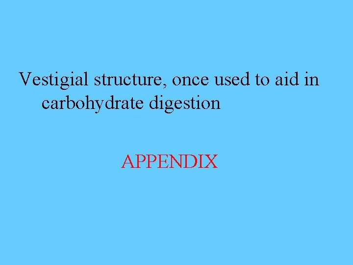 Vestigial structure, once used to aid in carbohydrate digestion APPENDIX 