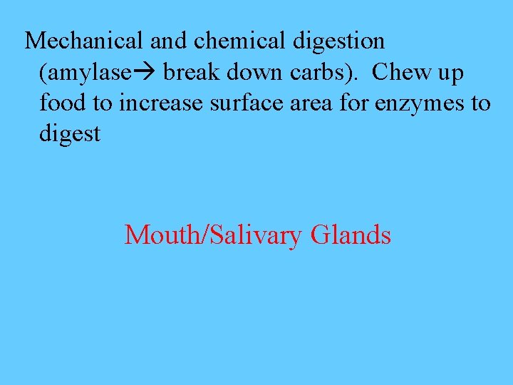Mechanical and chemical digestion (amylase break down carbs). Chew up food to increase surface