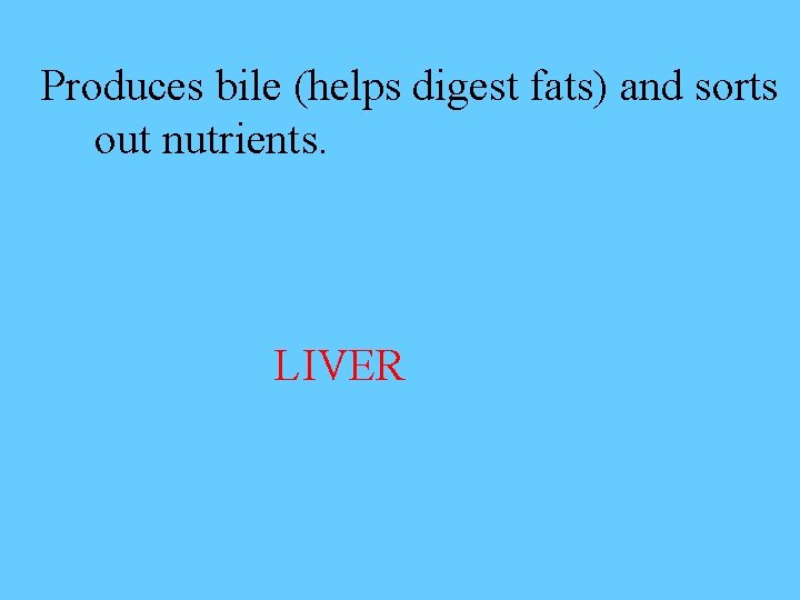 Produces bile (helps digest fats) and sorts out nutrients. LIVER 