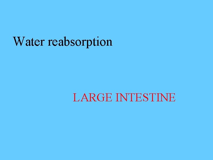 Water reabsorption LARGE INTESTINE 