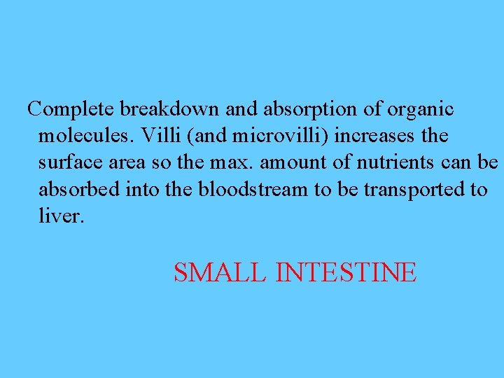 Complete breakdown and absorption of organic molecules. Villi (and microvilli) increases the surface area