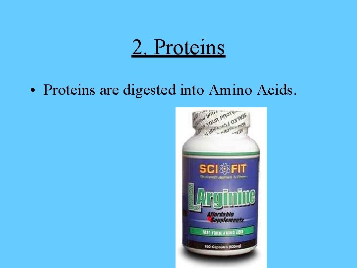 2. Proteins • Proteins are digested into Amino Acids. 