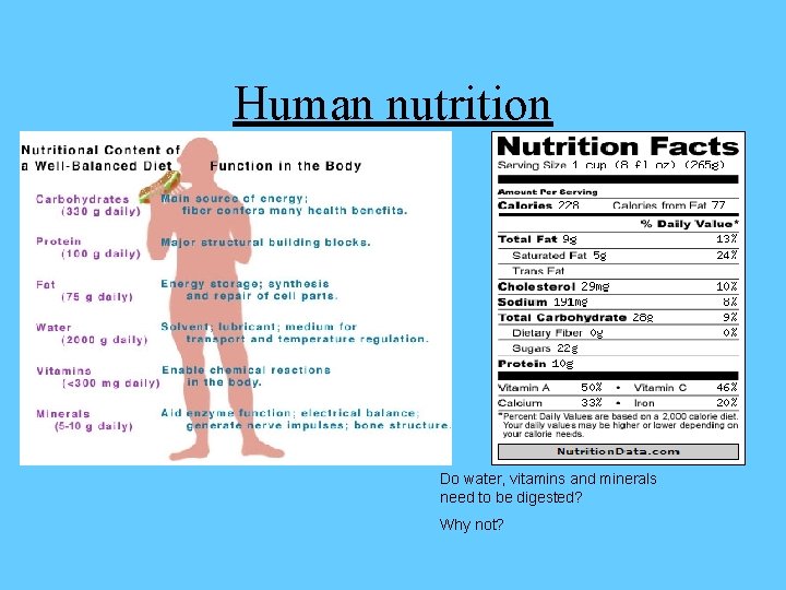 Human nutrition Do water, vitamins and minerals need to be digested? Why not? 