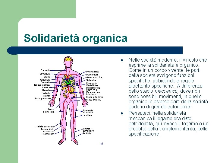 Solidarietà organica l l Nelle società moderne, il vincolo che esprime la solidarietà è