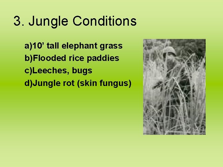 3. Jungle Conditions a)10’ tall elephant grass b)Flooded rice paddies c)Leeches, bugs d)Jungle rot