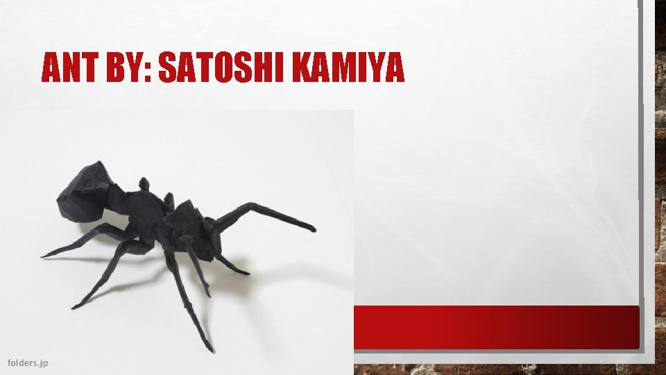 ANT BY: SATOSHI KAMIYA 