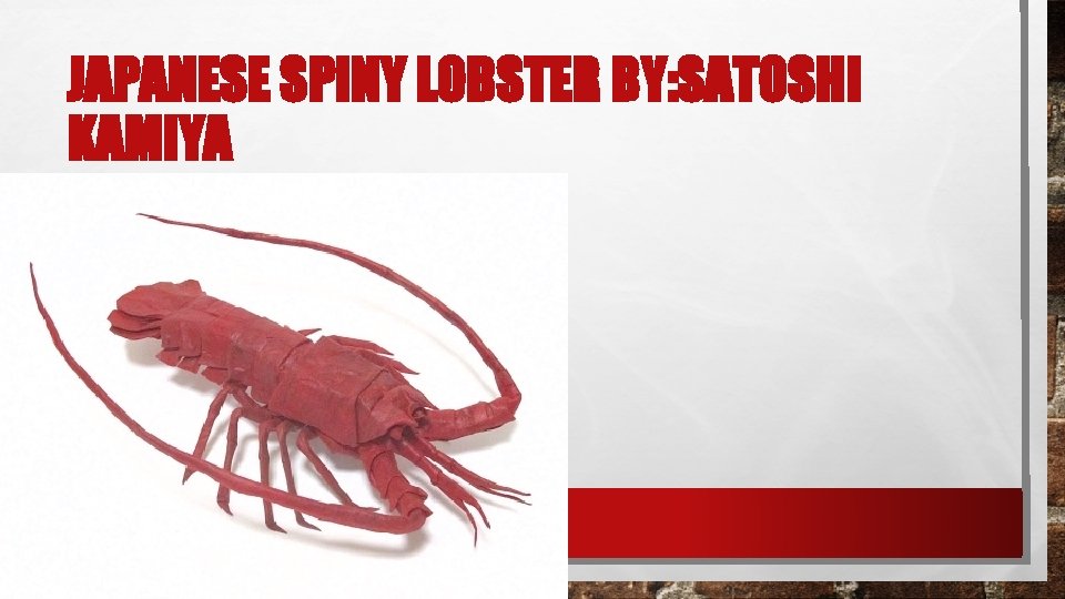 JAPANESE SPINY LOBSTER BY: SATOSHI KAMIYA 