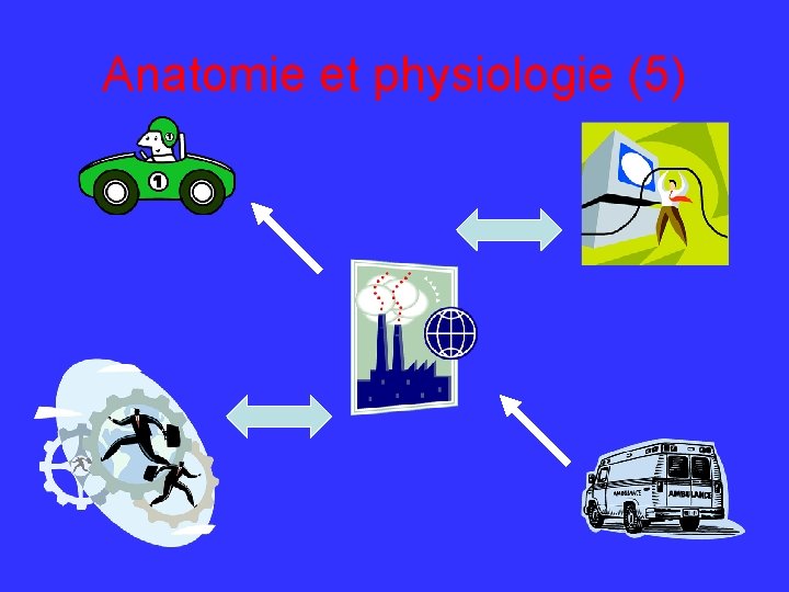 Anatomie et physiologie (5) 