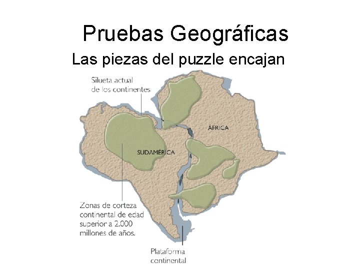 Pruebas Geográficas Las piezas del puzzle encajan Pruebas Geográficas Las piezas del puzzle encajan