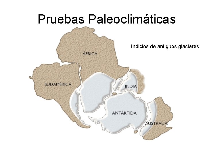 Pruebas Paleoclimáticas Indicios de antiguos glaciares Pruebas Paleoclimáticas Indicios de antiguos glaciares
