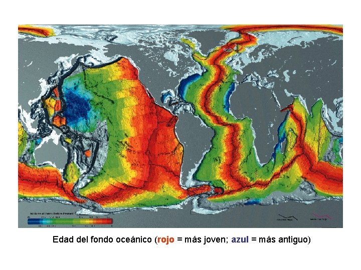 Edad del fondo oceánico (rojo = más joven; azul = más antiguo) Edad del fondo oceánico (rojo = más joven; azul = más antiguo)