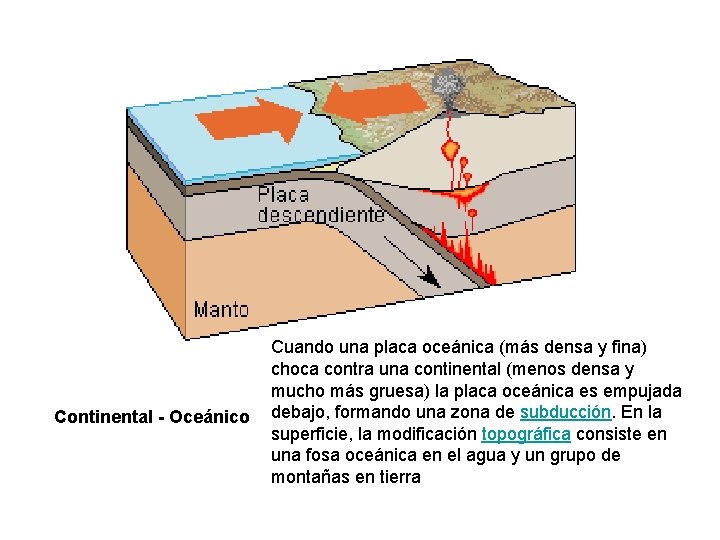 Continental - Oceánico Cuando una placa oceánica (más densa y fina) choca contra una Continental - Oceánico Cuando una placa oceánica (más densa y fina) choca contra una