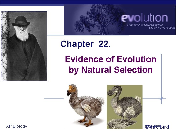 Chapter 22. Evidence of Evolution by Natural Selection AP Biology 2005 -2006 Dodo bird