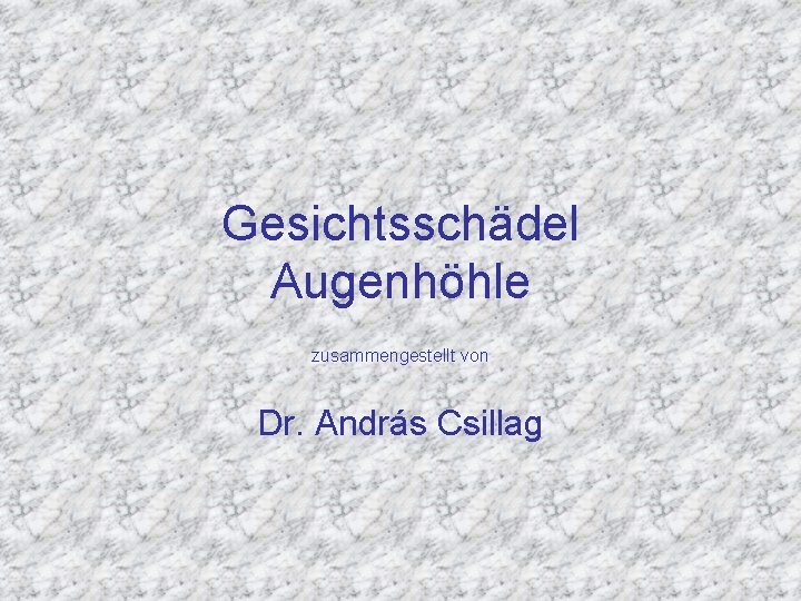 Gesichtsschädel Augenhöhle zusammengestellt von Dr. András Csillag 