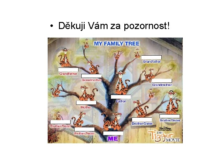  • Děkuji Vám za pozornost! 