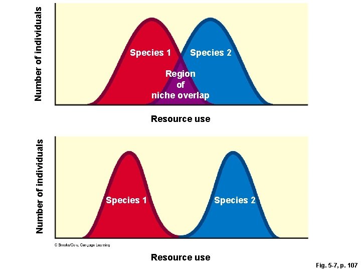 Number of individuals Species 1 Species 2 Region of niche overlap Number of individuals