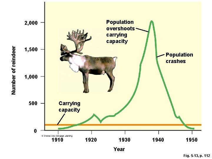 Population overshoots carrying capacity Number of reindeer 2, 000 1, 500 Population crashes 1,