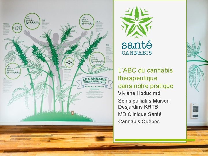 L’ABC du cannabis thérapeutique dans notre pratique Viviane Hoduc md Soins palliatifs Maison Desjardins