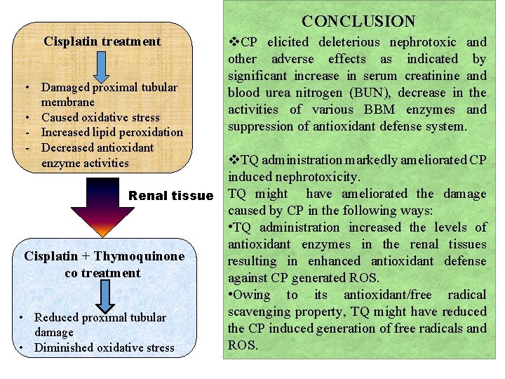 CONCLUSION Cisplatin treatment v. CP elicited deleterious nephrotoxic and other adverse effects as indicated