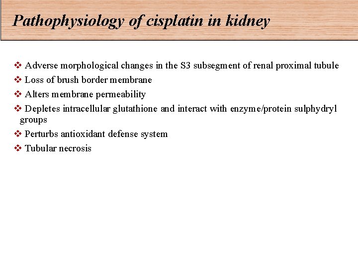 Pathophysiology of cisplatin in kidney v Adverse morphological changes in the S 3 subsegment