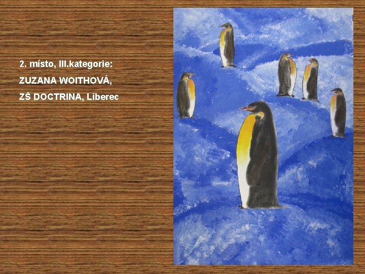 2. místo, III. kategorie: ZUZANA WOITHOVÁ, ZŠ DOCTRINA, Liberec 