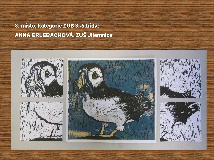 3. místo, kategorie ZUŠ 3. -5. třída: ANNA ERLEBACHOVÁ, ZUŠ Jilemnice 
