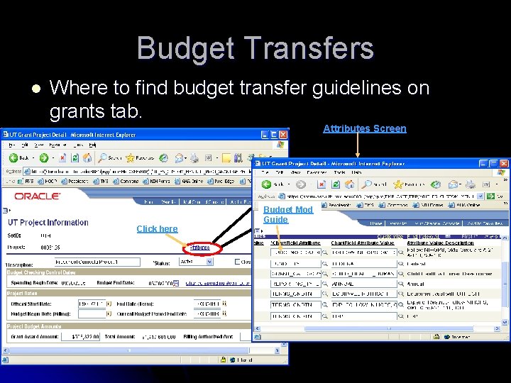 Budget Transfers l Where to find budget transfer guidelines on grants tab. Attributes Screen