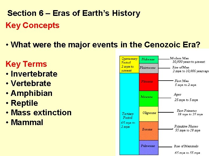 Section 6 – Eras of Earth’s History Key Concepts • What were the major