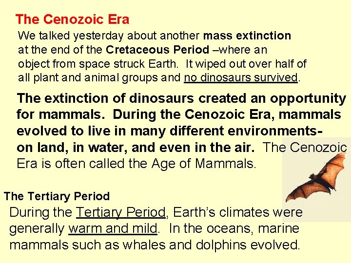 The Cenozoic Era We talked yesterday about another mass extinction at the end of