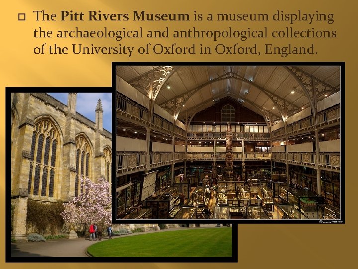 The Pitt Rivers Museum is a museum displaying the archaeological and anthropological collections