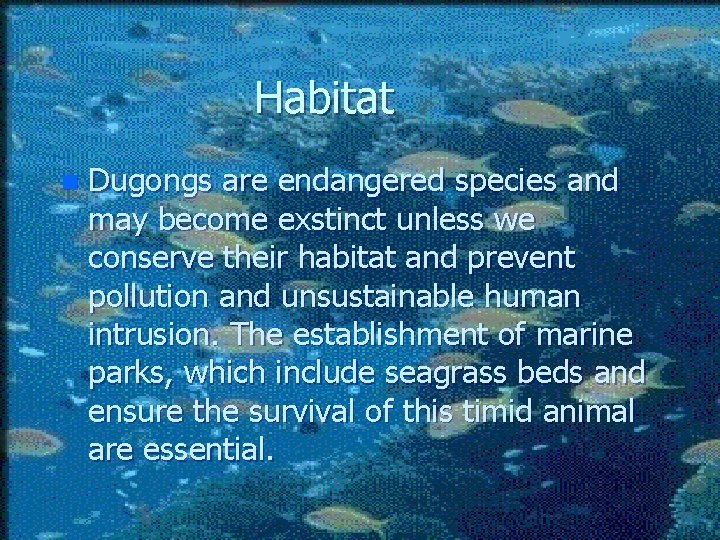 Habitat n Dugongs are endangered species and may become exstinct unless we conserve their