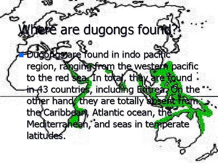Where are dugongs found? n Dugongs are found in indo pacific region, ranging from