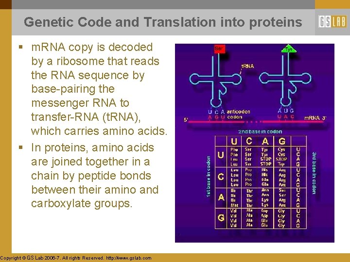 Genetic Code and Translation into proteins § m. RNA copy is decoded by a