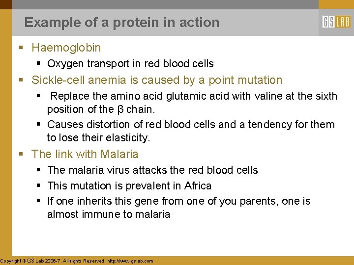 Example of a protein in action § Haemoglobin § Oxygen transport in red blood