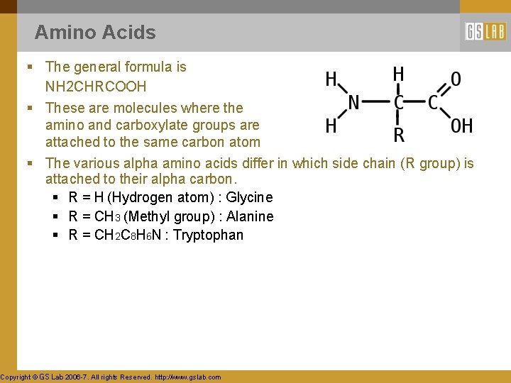 Amino Acids § The general formula is NH 2 CHRCOOH § These are molecules