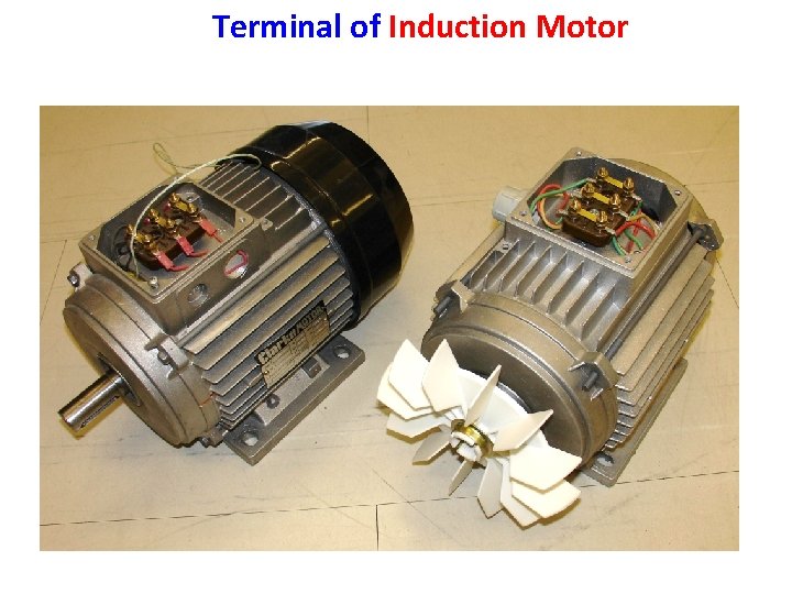 Terminal of Induction Motor 