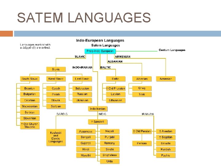 SATEM LANGUAGES 