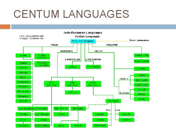 CENTUM LANGUAGES 