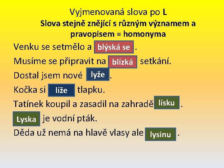 Vyjmenovaná slova po L Slova stejně znějící s různým významem a pravopisem = homonyma