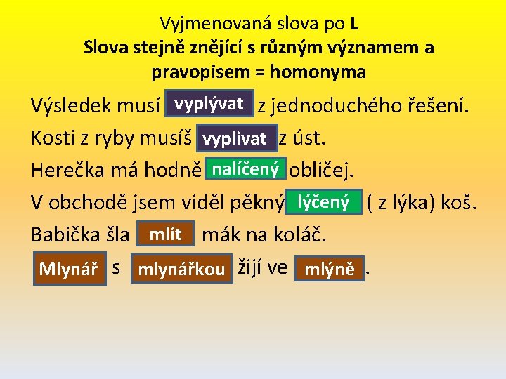 Vyjmenovaná slova po L Slova stejně znějící s různým významem a pravopisem = homonyma