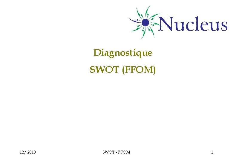 Diagnostique SWOT (FFOM) 12/ 2010 SWOT - FFOM 1 