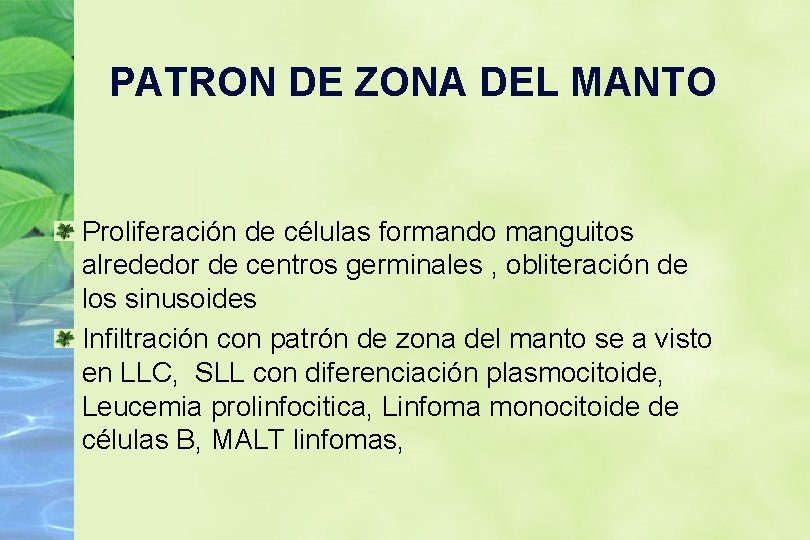 PATRON DE ZONA DEL MANTO Proliferación de células formando manguitos alrededor de centros germinales
