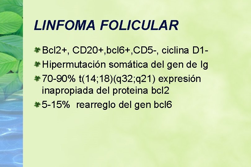 LINFOMA FOLICULAR Bcl 2+, CD 20+, bcl 6+, CD 5 -, ciclina D 1