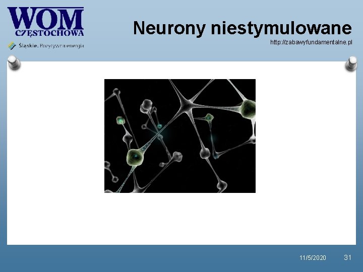 Neurony niestymulowane http: //zabawyfundamentalne. pl 11/5/2020 31 