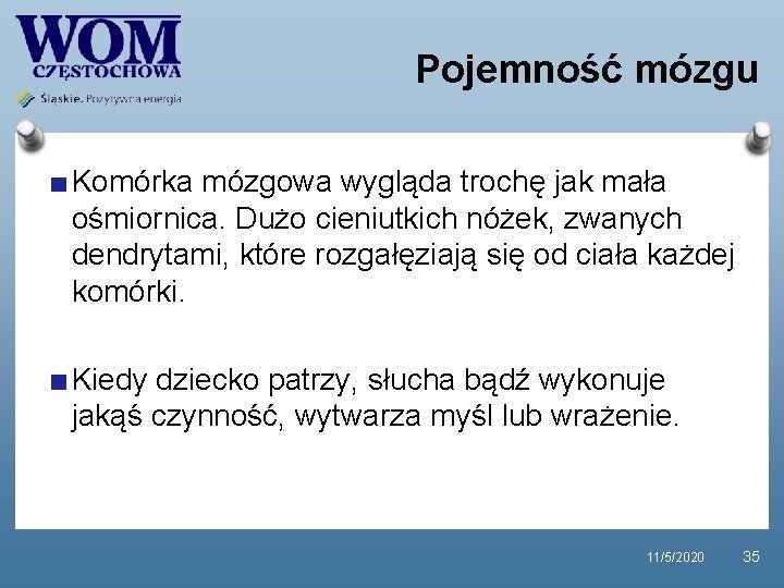 Pojemność mózgu Komórka mózgowa wygląda trochę jak mała ośmiornica. Dużo cieniutkich nóżek, zwanych dendrytami, Pojemność mózgu Komórka mózgowa wygląda trochę jak mała ośmiornica. Dużo cieniutkich nóżek, zwanych dendrytami,