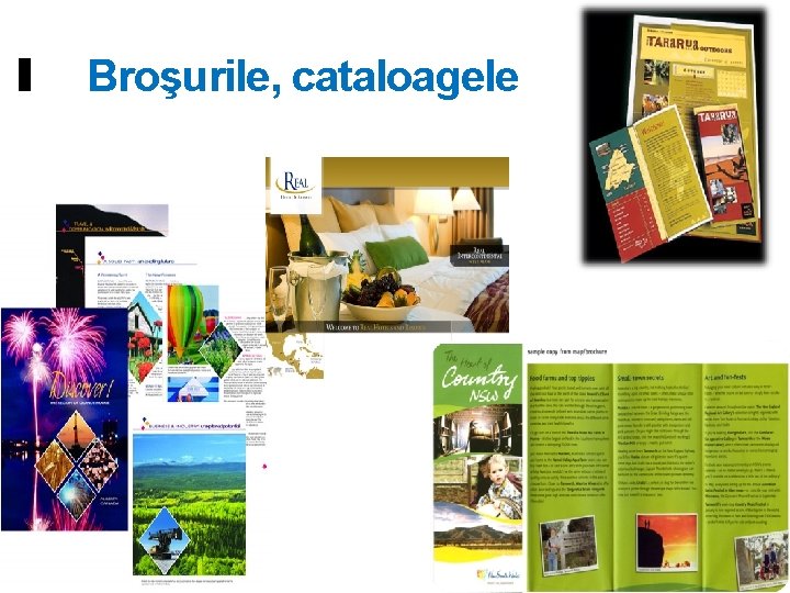 Broşurile, cataloagele 