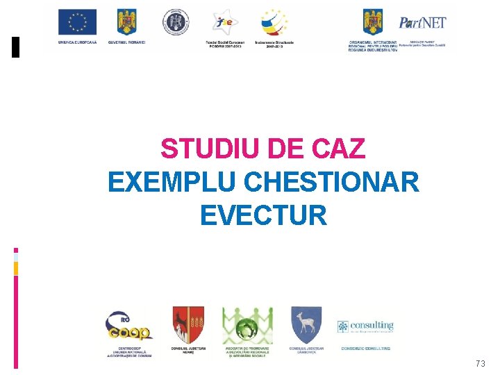 STUDIU DE CAZ EXEMPLU CHESTIONAR EVECTUR 73 