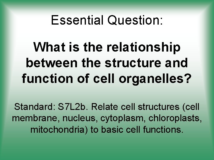 Essential Question: What is the relationship between the structure and function of cell organelles?