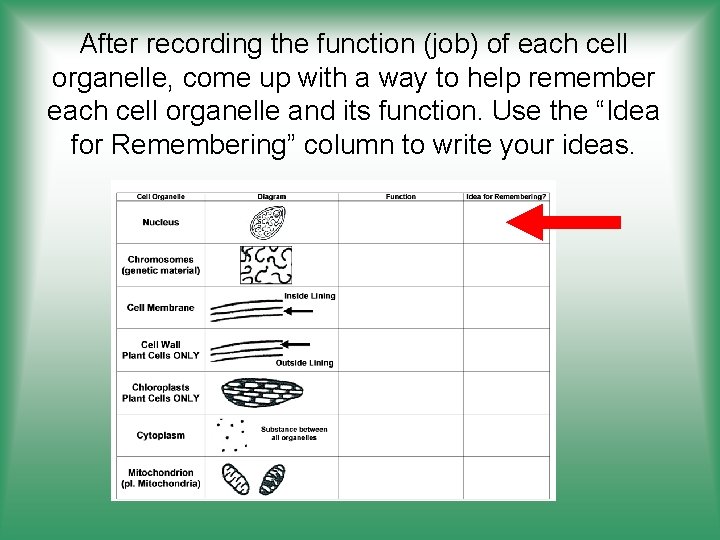 After recording the function (job) of each cell organelle, come up with a way