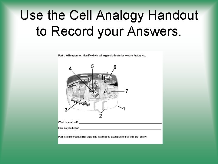 Use the Cell Analogy Handout to Record your Answers. 